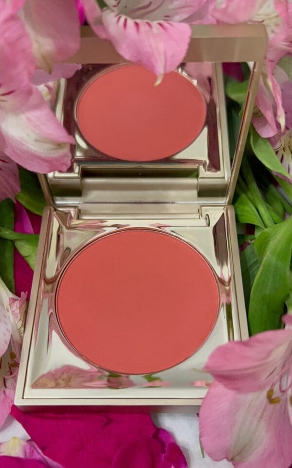 A close up of the lid on a pink blush